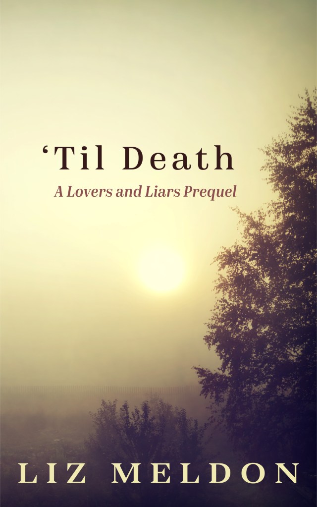 My fabulous cover from designer James over at goonwrite.com.